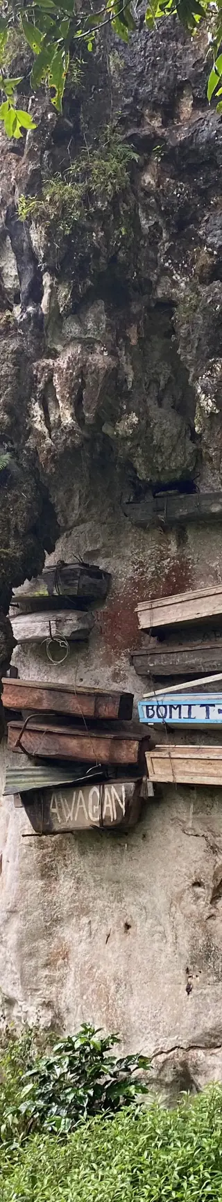 Besuche die hängenden Särge in Sagada